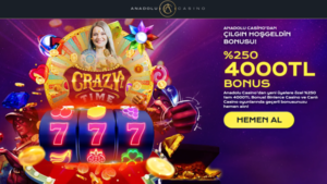 Anadolucasino giriş